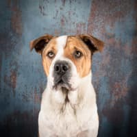 Photo of Winston