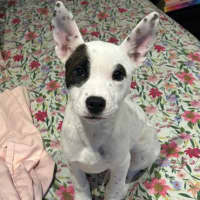 Photo of Wilma 