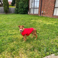 Photo of Bandit