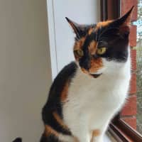 Photo of Queen Mimmi