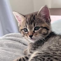 Photo of Navia & Rayne 