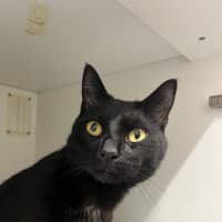 Photo of Bruno