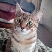 Photo of Florence