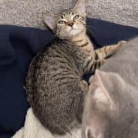 Photo of Lily