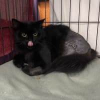 Photo of Prudence