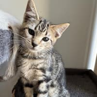 Photo of Hope