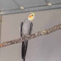 Photo of Pretty Boy
