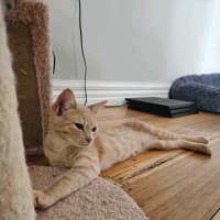 Photo of Ginny ❤️