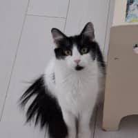 Photo of Emma