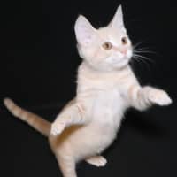 Photo of Ginny