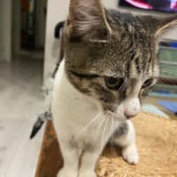 Photo of Ginny (Weasley) Of Harry Potter Fame