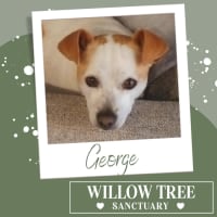 Photo of George