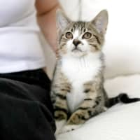 Photo of Lyla