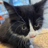 Photo of New Approach