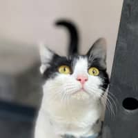 Photo of Gadget (0196)