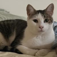 Photo of Mia Boy