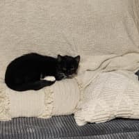 Photo of Dotty