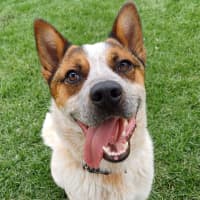 Photo of Charlie Arnold