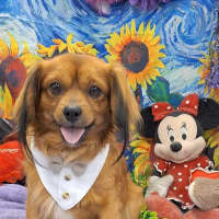 Photo of Max