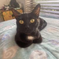 Photo of Princess