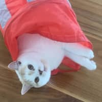 Photo of Gary