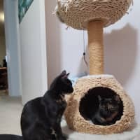 Photo of Willow & Azalea 