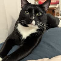 Photo of Binks