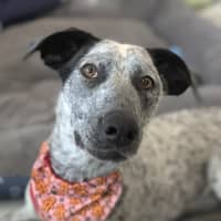 Photo of 🎀 Monica 5585 🎀