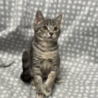 Photo of Issy