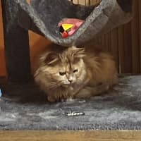 Photo of Bubbles