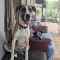 Photo of Molly 