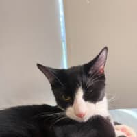 Photo of Button