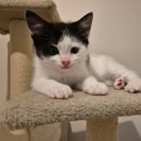 Photo of Roger Meet Me@Petstock Carrum Downs Store 