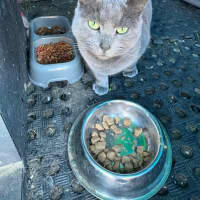 Photo of Maggie
