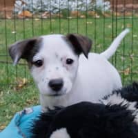 Photo of Wilma