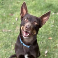 Photo of Billie Jean