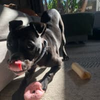 Photo of Harken