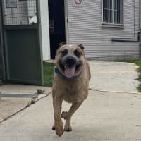 Photo of Max