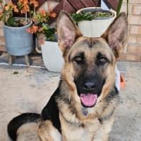 Photo of Shilo