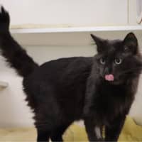 Photo of Neo