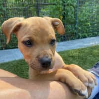 Photo of D1197 William