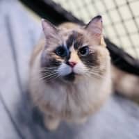 Photo of Zima