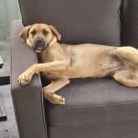 Photo of Mira
