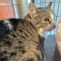 Photo of Mr Roy! 🎩