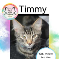 Photo of Timmy