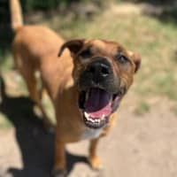 Photo of Motley