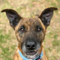 Photo of Agnes