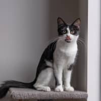 Photo of Harper