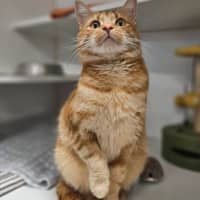 Photo of Bingo
