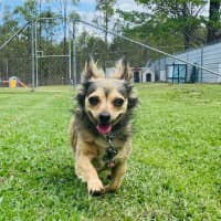Photo of Lola